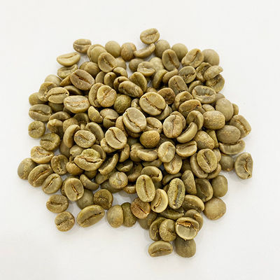 grains de café Robusta vert