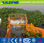 Gran capacidad y automática Máquina cosechadora de jacinto de agua - 1
