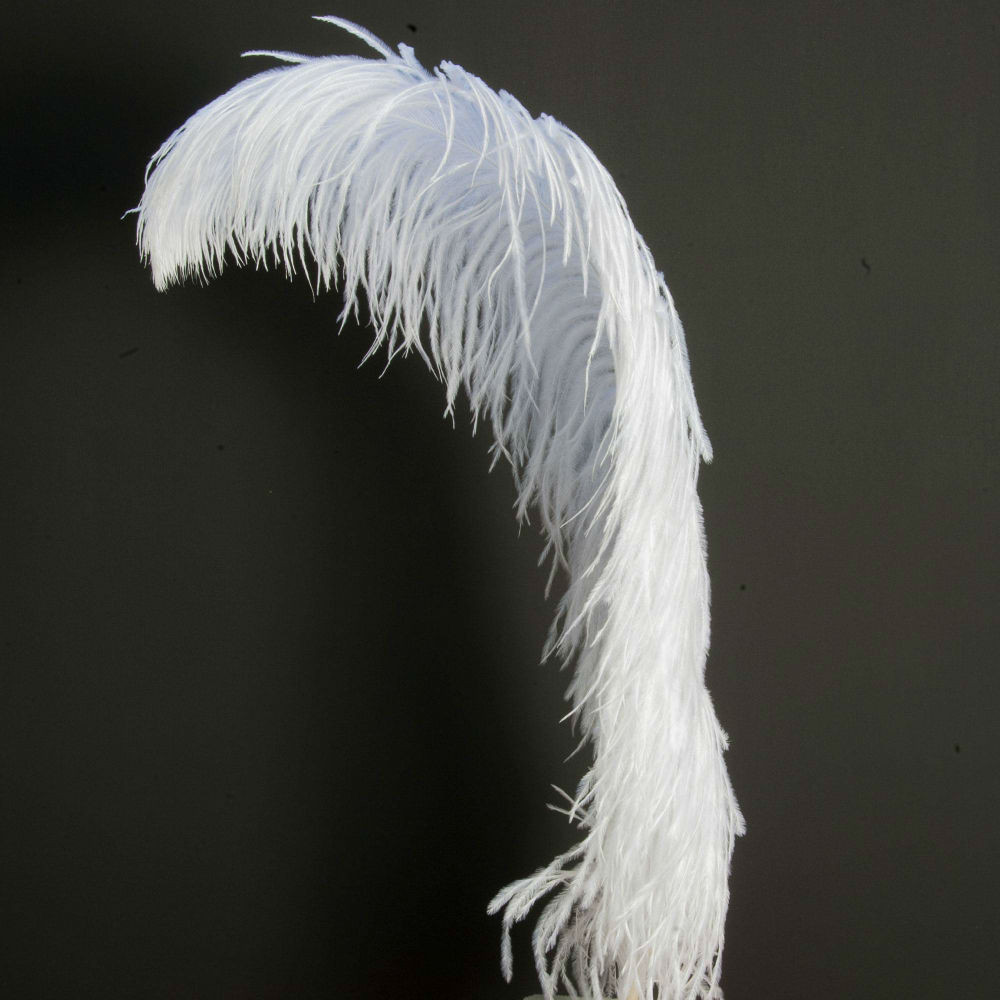 striscia di piume di struzzo lunghezza 2,5 m Piuma di struzzo bianco AABABUY lunghezza 10,5 cm 