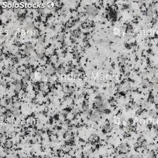 Granite Blanc Castilla Dalles 60x40x2 Poli