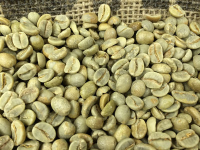 Granos de café verde arábica