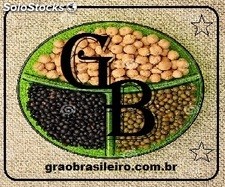 Grãos brasileiros - milho -soja - feijão - arroz - açúcar - café