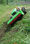 Green Climber LV 600 - Remote Controlled - Foto 3