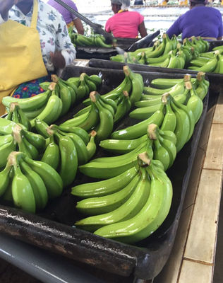 Green Fresh Banana - Foto 4