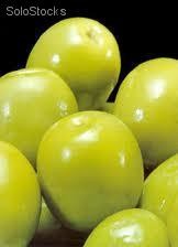 Green Olives with Core canned
