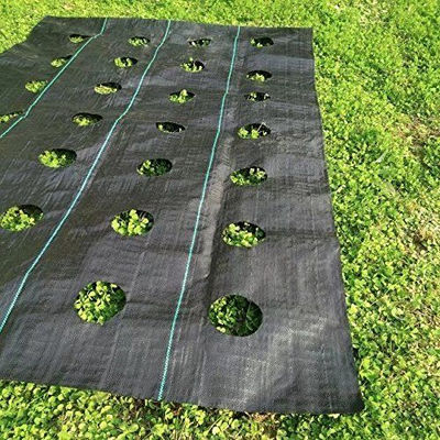 Ground Cover For Suppressing Weed/Ground Cover Woven Fabric - Foto 3