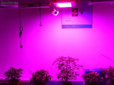 Grow Light led 600w Lámpara led de crecimiento para cultivos de interior - Foto 5