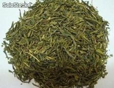 Grüne organische Teeblätter - Foto 4