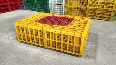 Guacales Plasticos para Transporte de Pollo en Pie - Foto 3