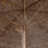 Guarda-Sol de Bambu com Telhado de Folha de Bananeira, 270 cm - Foto 2