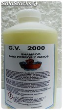 Gv - SHAMPOO 2000 Shampoo para perros y gatos