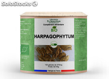 Harpagophytum bio 120 gélules