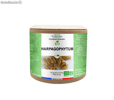 Harpagophytum bio 120 gélules