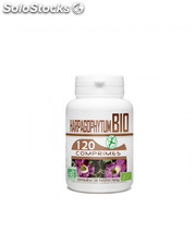 Harpagophytum bio - 400 mg - 120 Comprimés