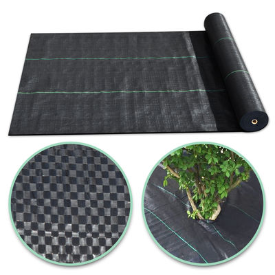 Heavy Duty 100gsm Plastic Barrier Weed Mat For Agriculture Farming Ground cover - Foto 2