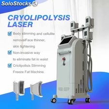 Helada gordo vertical de Cryolipolysys que adelgaza la máquina