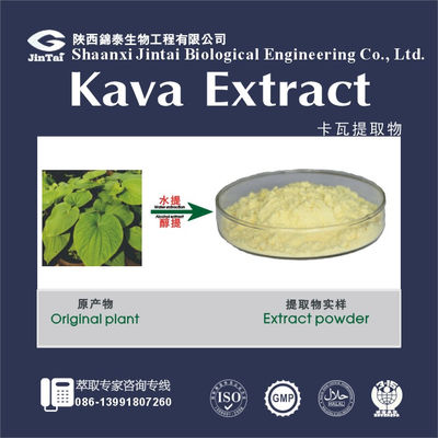 Herbal Kava Powder Extract 70%