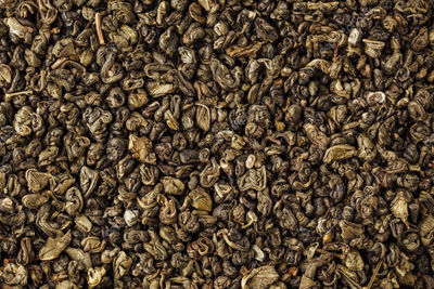 Herbata Zielona Gunpowder 35kg - pełne worki