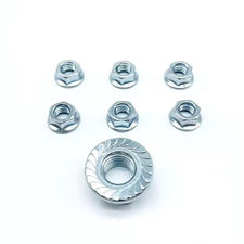 Hex Flange Nut