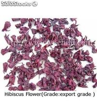 Hibiscus (Flor de Jamaica)