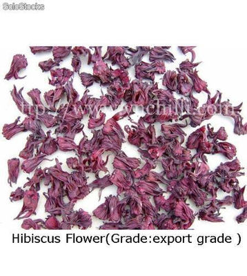 Hibiscus (Flor de Jamaica)
