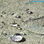Hidrófugo para Suelos Idroless - Foto 5