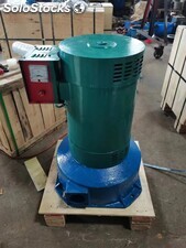 Hidrogenerador generador hidraulico generador de agua pelton casera 10kw