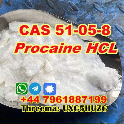 High extraction CAS 51-05-8 Procaine HCL powder