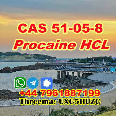 High extraction CAS 51-05-8 Procaine HCL powder - Photo 4