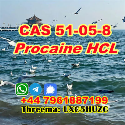 High extraction CAS 51-05-8 Procaine HCL powder - Photo 5