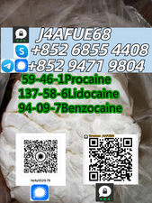 High Purity CAS 137-58-6 Lidocaine HCl Powder - Lidocaine hydrochloride