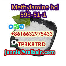 high-purity Methylamine hydrochloride 593-51-1 Methylamine hcl supplier