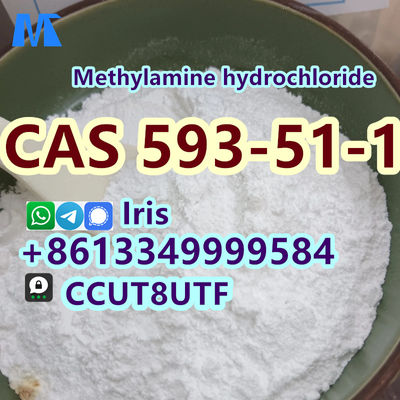 high-purity Methylamine hydrochloride Cas 593-51-1 Methylamine hcl supplier