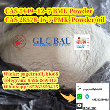 High Purity new Bmk powder cas 5449-12-7 rich stock!