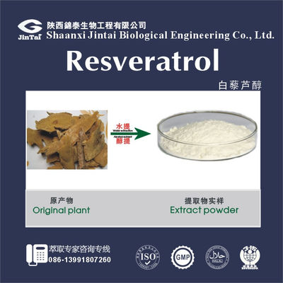 high quality 98% natural resveratrol powder