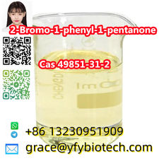 High Quality 99% Purity 2-Bromovalerophenone cas 49851-31-2 2-Bromo-1-phenylpent