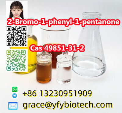 High Quality 99% Purity 2-Bromovalerophenone cas 49851-31-2 2-Bromo-1-phenylpent - Photo 3