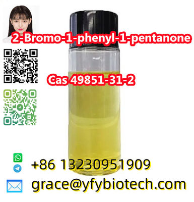 High Quality 99% Purity 2-Bromovalerophenone cas 49851-31-2 2-Bromo-1-phenylpent - Photo 4