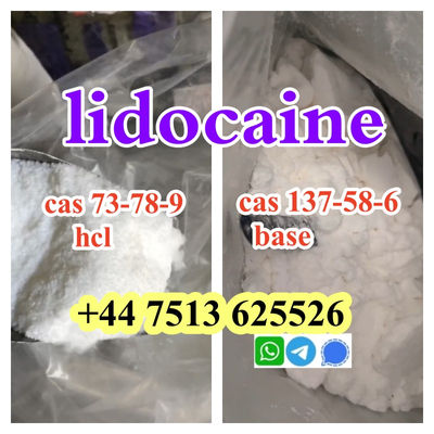 high quality cas 137-58-6 Lidocaine base cas 73-78-9 Lidocaine hcl global ship - Photo 2