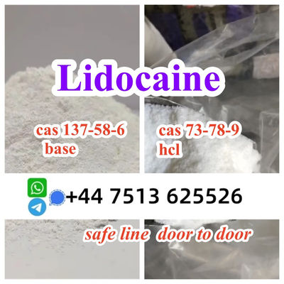 high quality cas 137-58-6 Lidocaine base cas 73-78-9 Lidocaine hcl global ship - Photo 3