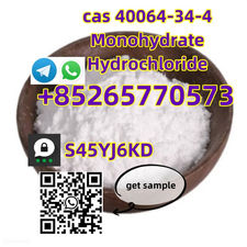 High Quality cas 40064-34-8 Monohydrate Hydrochloride CAS 1009-11-6