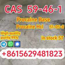 High quality cas 59-46-1 procaine base powder safely delivered to your door