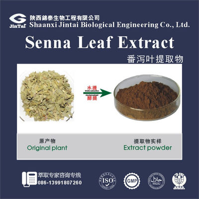 high quality orgnanic 20% Senna Leaf Extract