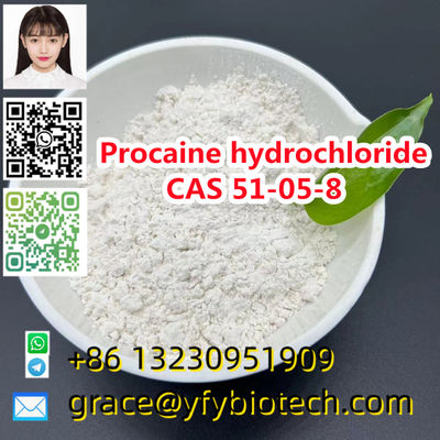 High quality Procaine hydrochloride cas 51-05-8 with safe shipping
