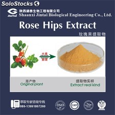 high quality rose hip extract 5%