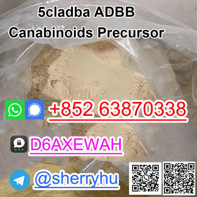 hot sale 5cladba raw material 5cl powder 5cladb Whatsapp+85263870338 - Photo 3