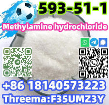 Hot sale CAS 593-51-1 Methylamine hydrochloride with Safe Delivery