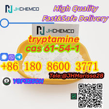 Hot Sale Low Price cas 61-54-1 tryptamine Threema: Y8F3Z5CH