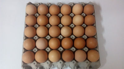 Huevos gallina feliz - Foto 2