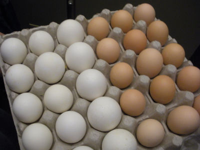 Huevos marrones y blancos - Foto 2